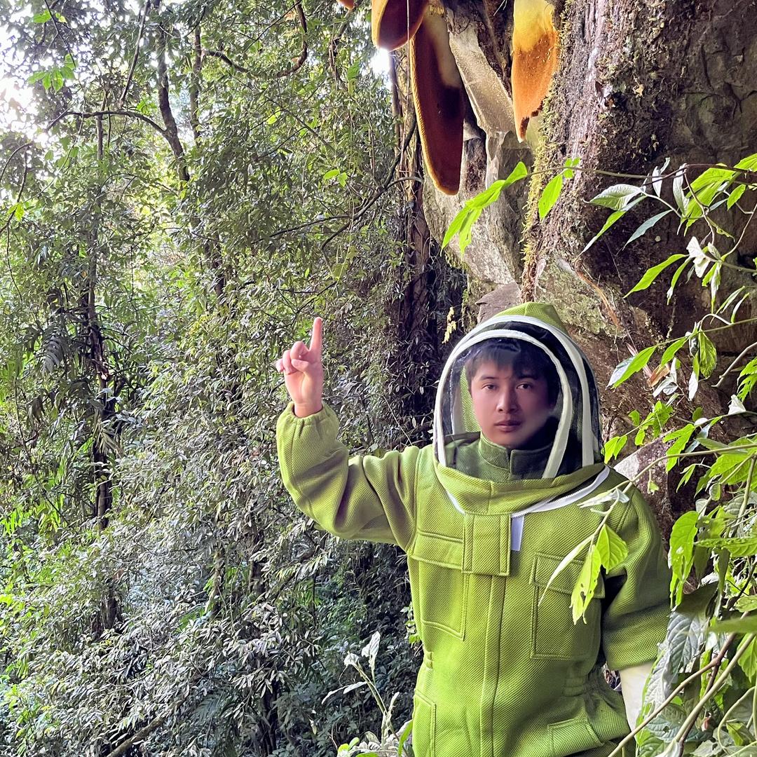 野生蜂蜜（小城）