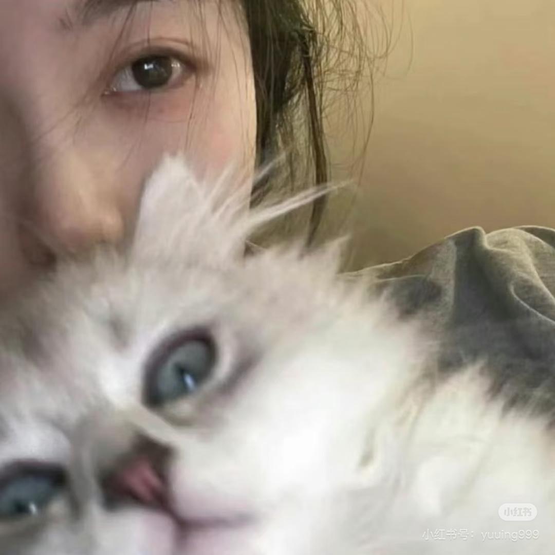 烦不拉几