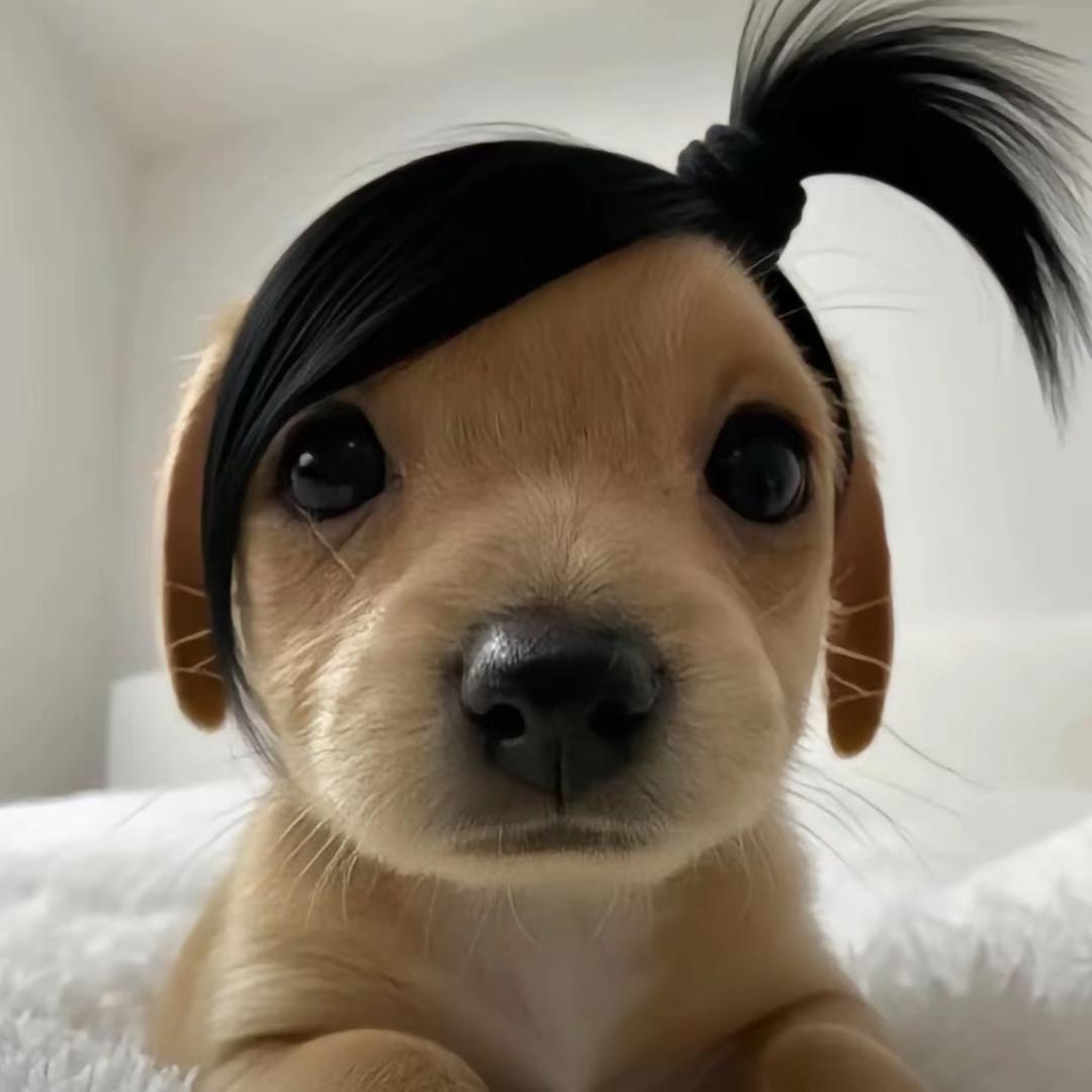 ˗ˋˏᰔᩚˎˊ˗