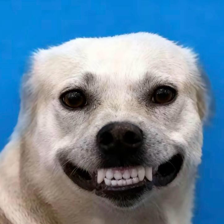 🎬影艺电影工作室