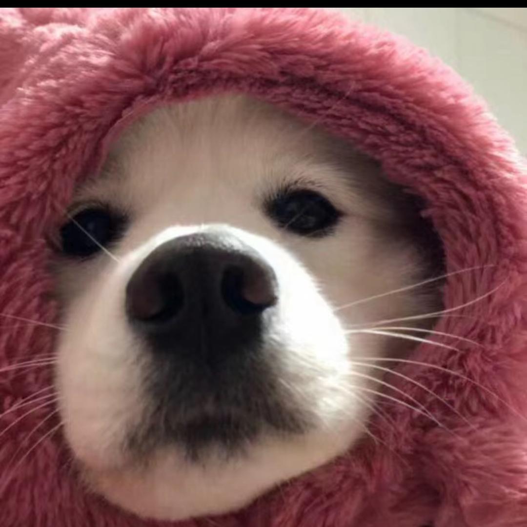 小乖 💭