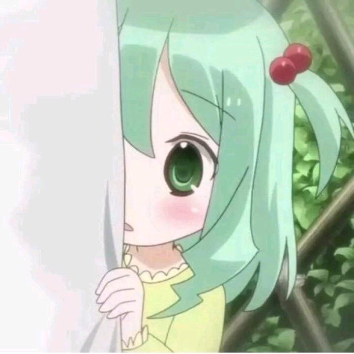 椰椰星