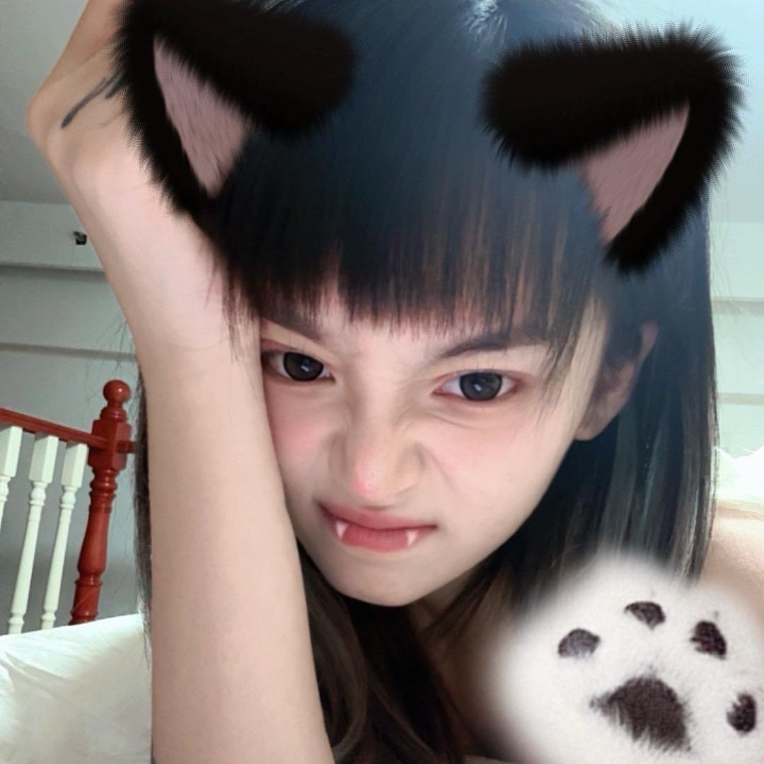 波波度度。🦊