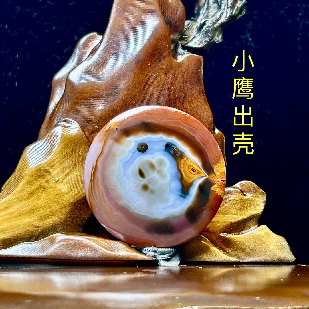 就是玩 战国红