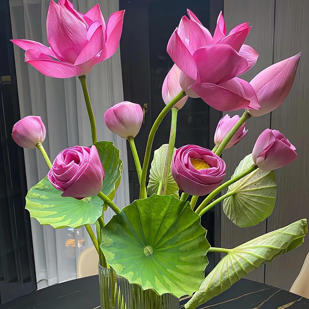 莫新蓉