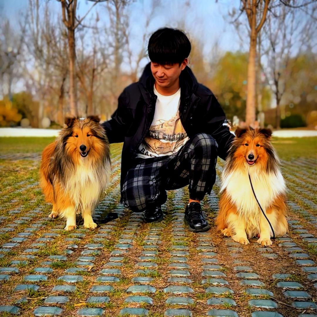 唐山荣耀喜乐蒂1