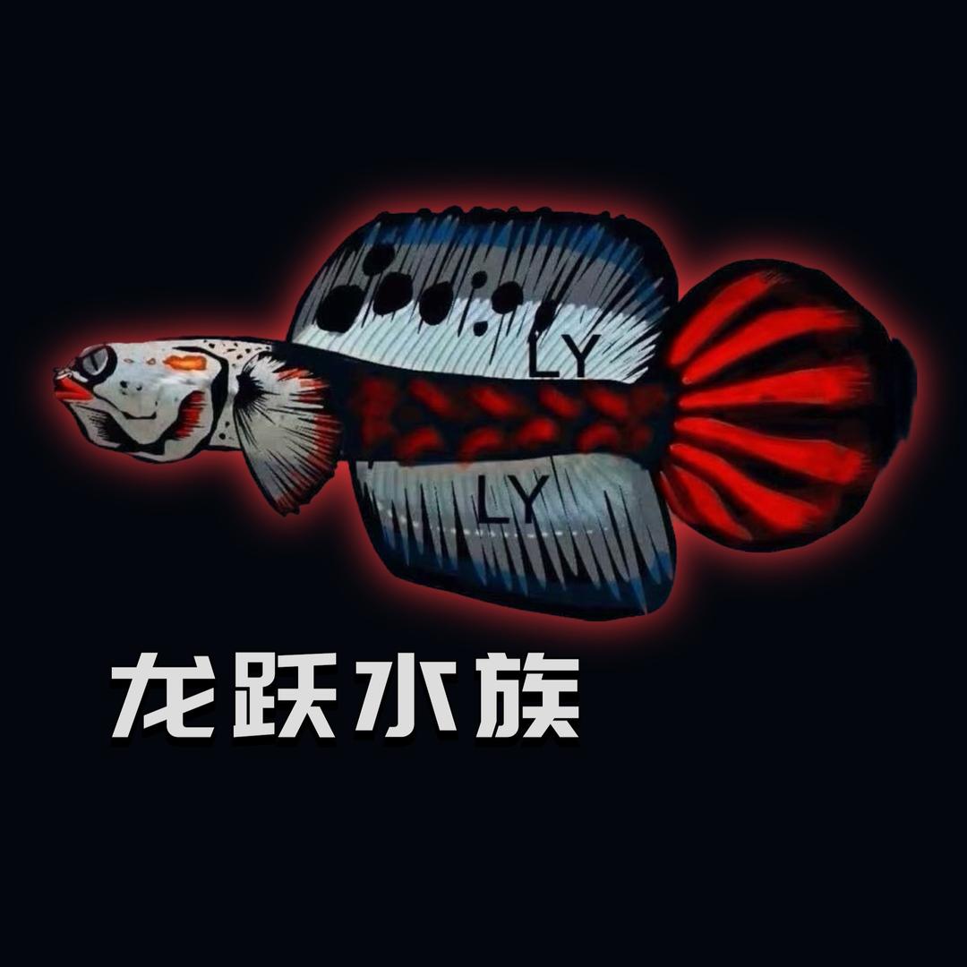 LY 龙跃水族.雷龙