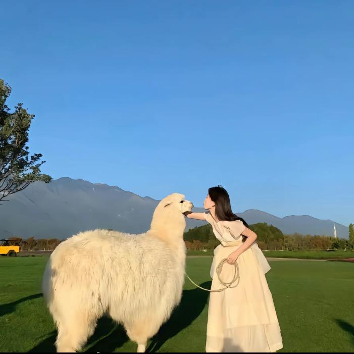琪琪优选✨