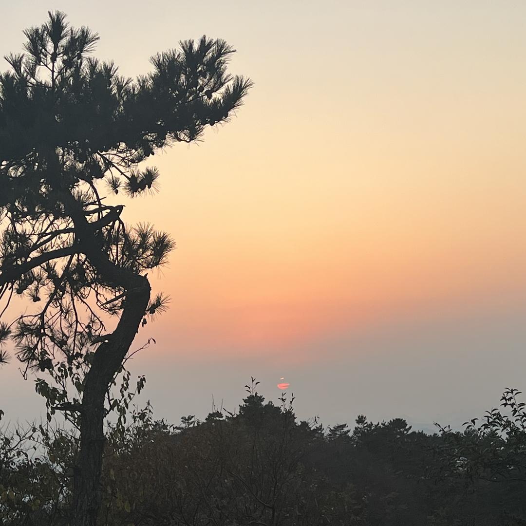 都是好水杯