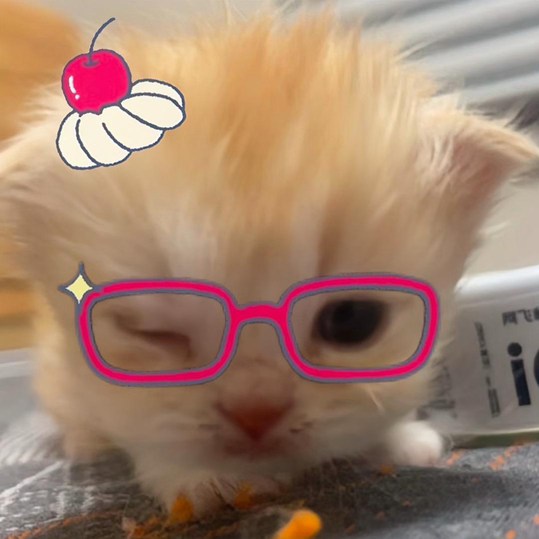 xixi～
