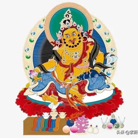 北京鲨鱼