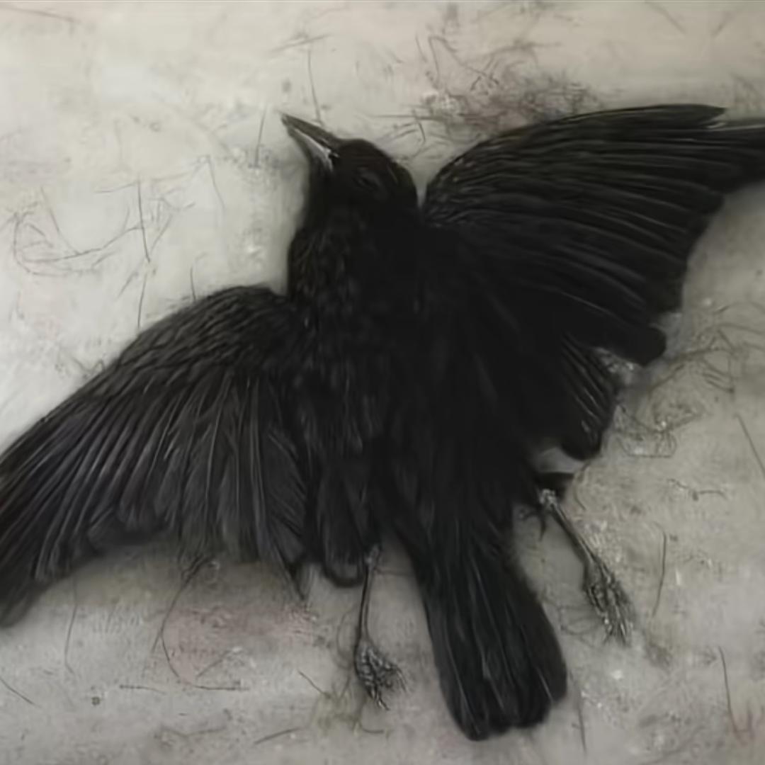 世界请杀死我