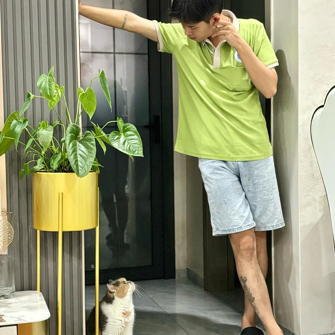 好恰_脆脆蘑菇