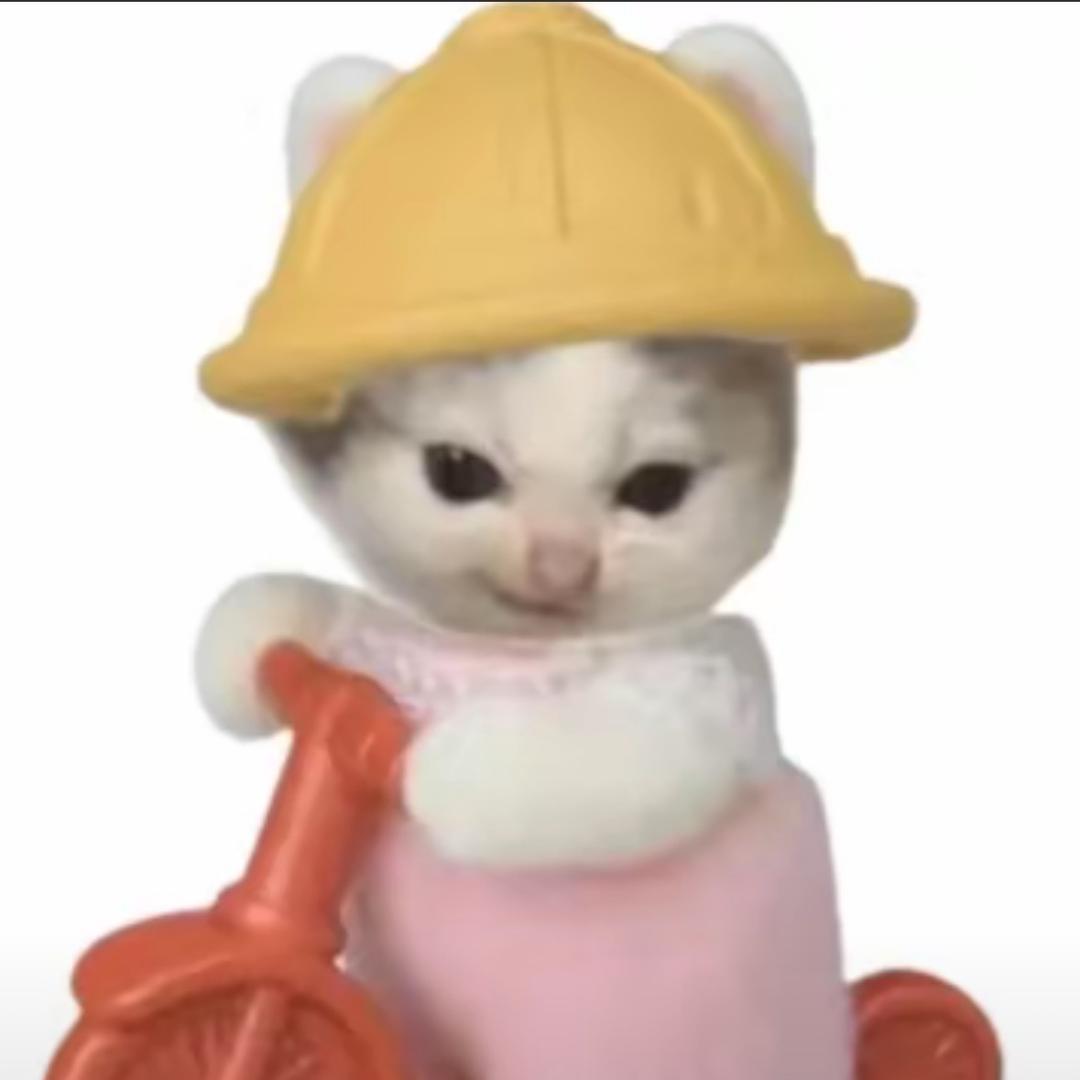 毕加马