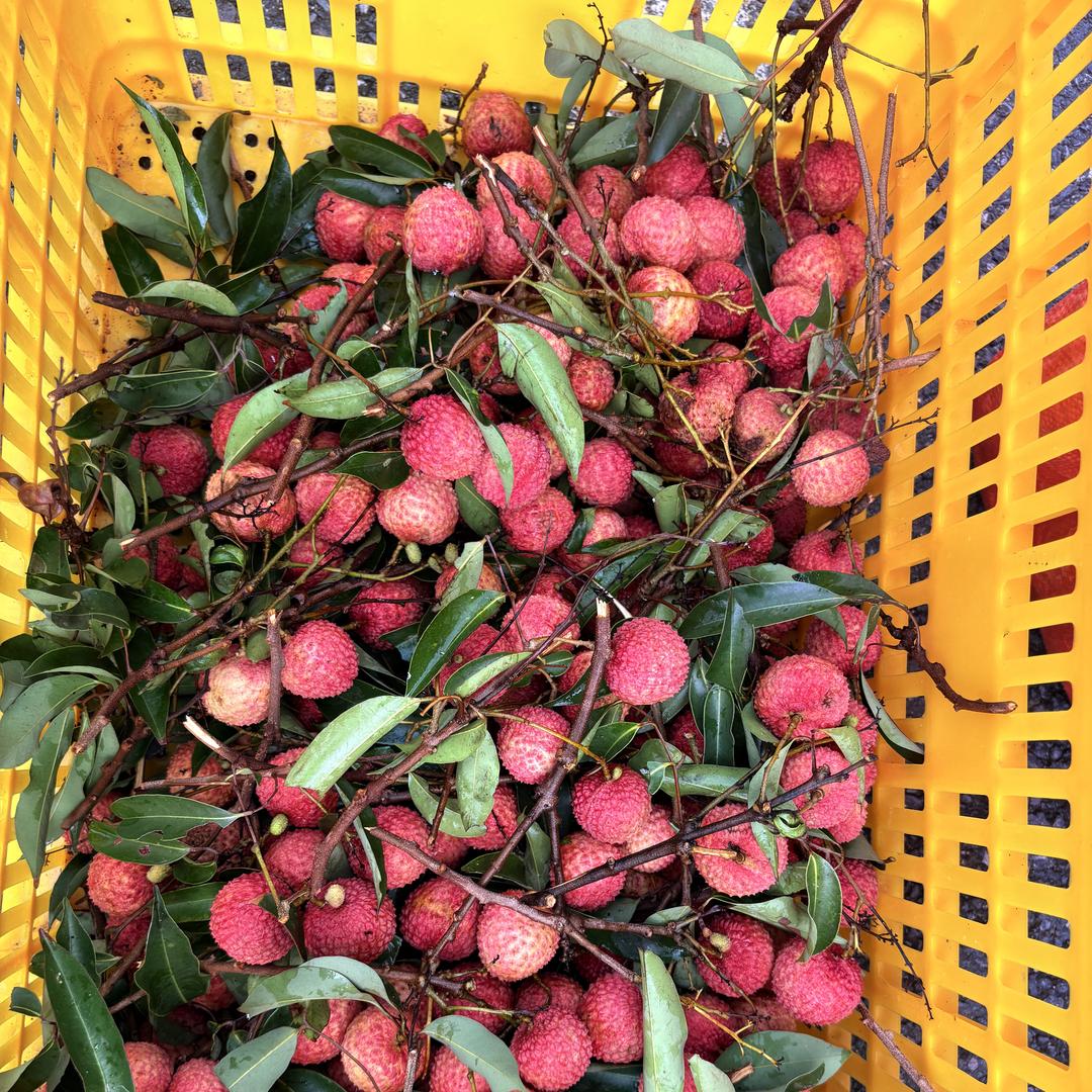 蜜果鲜森水果小铺