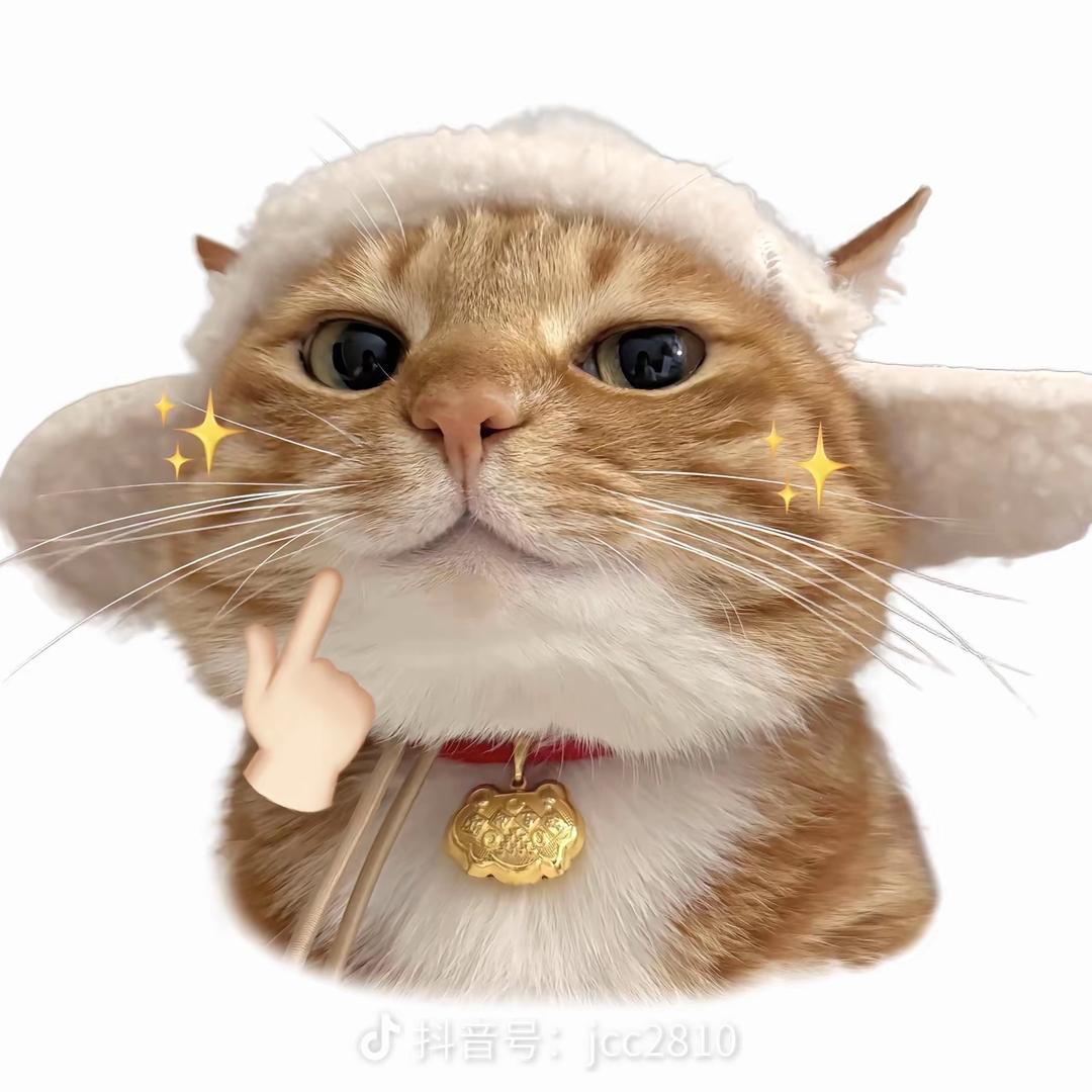 杨了个羊.