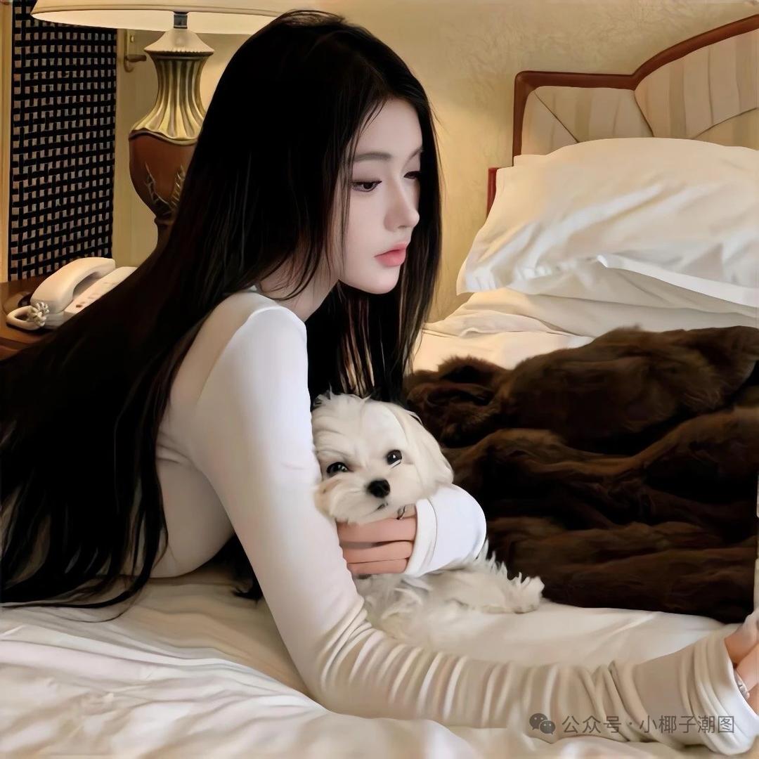 石城龙牌板材 博仕门窗