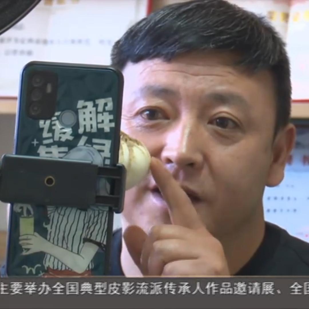 甘肃陇泰源百合