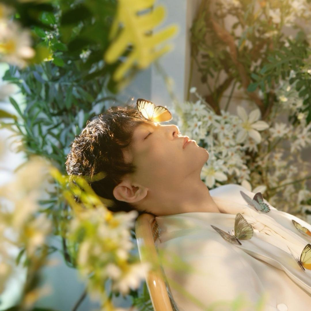 番茄不炒蛋ʚʕ̯•͡˔•̯᷅ʔɞ