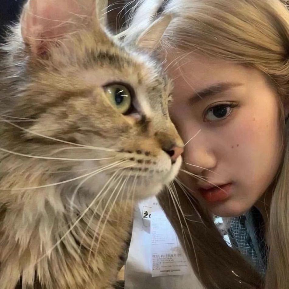 🍀数学请爱我亿次