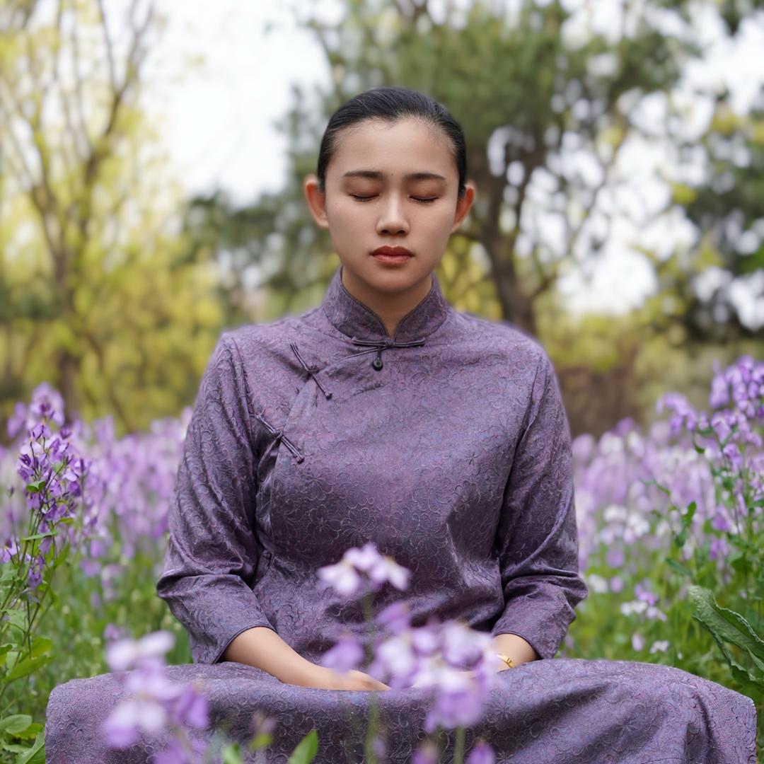 龙藏兰心-鑫地
