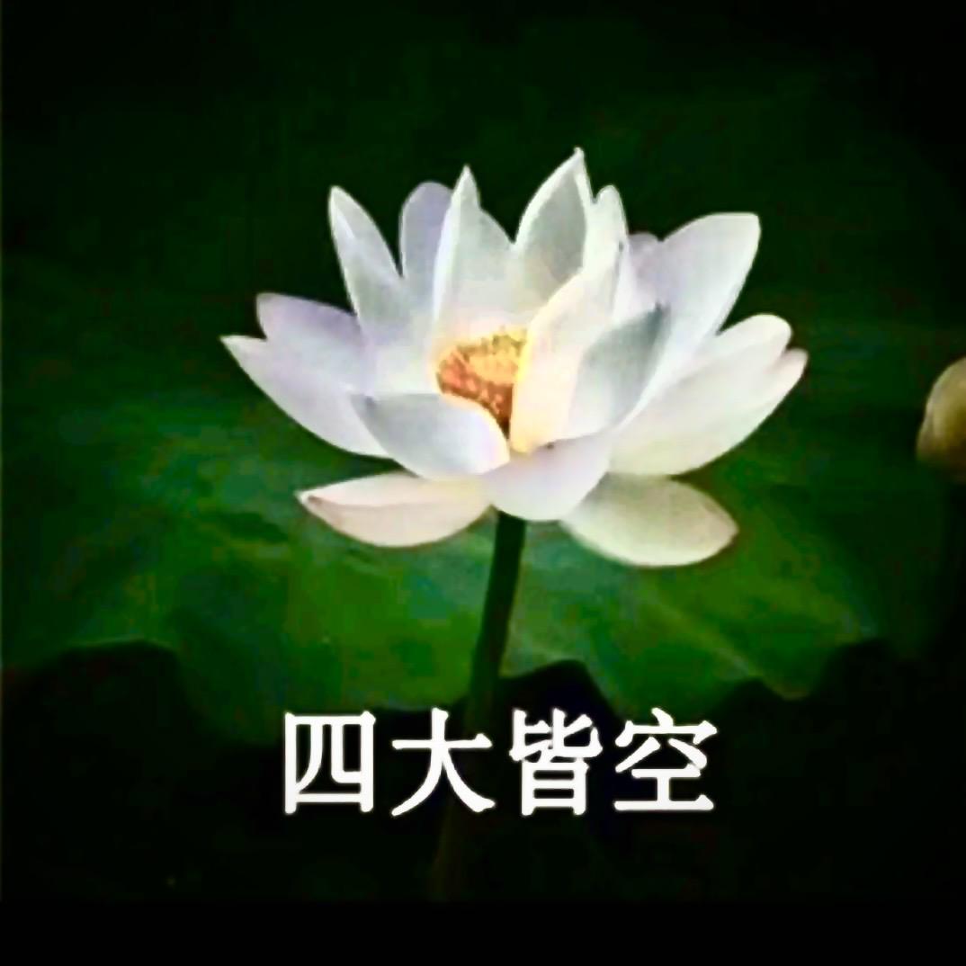 ♡清净无为♡