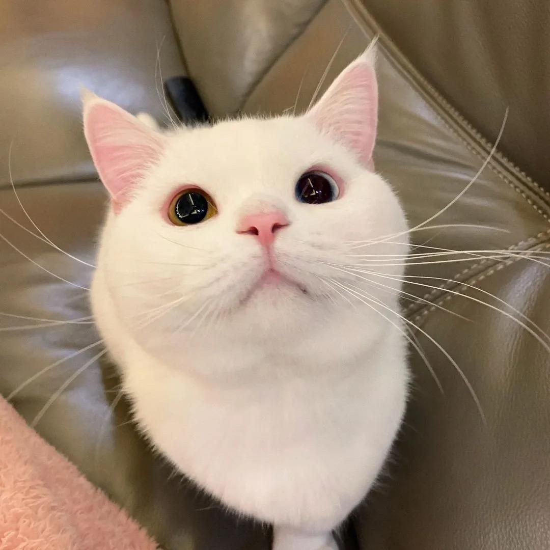 是小金呀✨