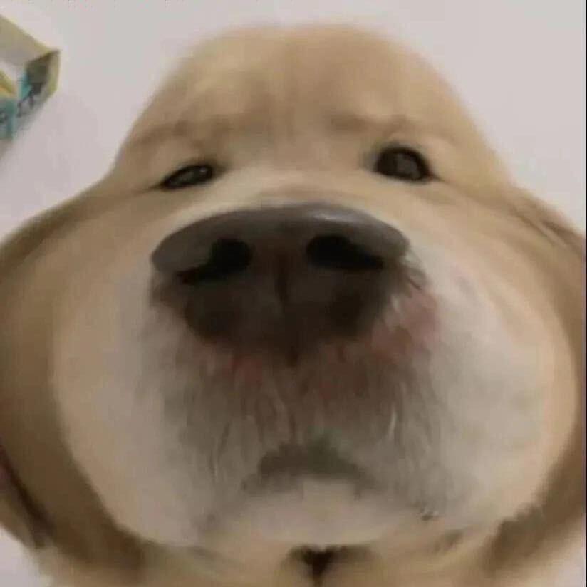 玉玉的钰钰yy