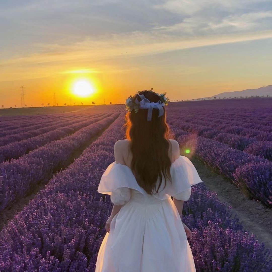 小琪(明着圈🌾版)