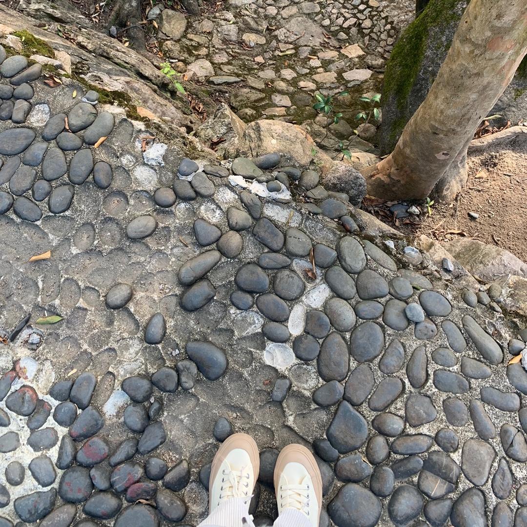 是陈陈呀