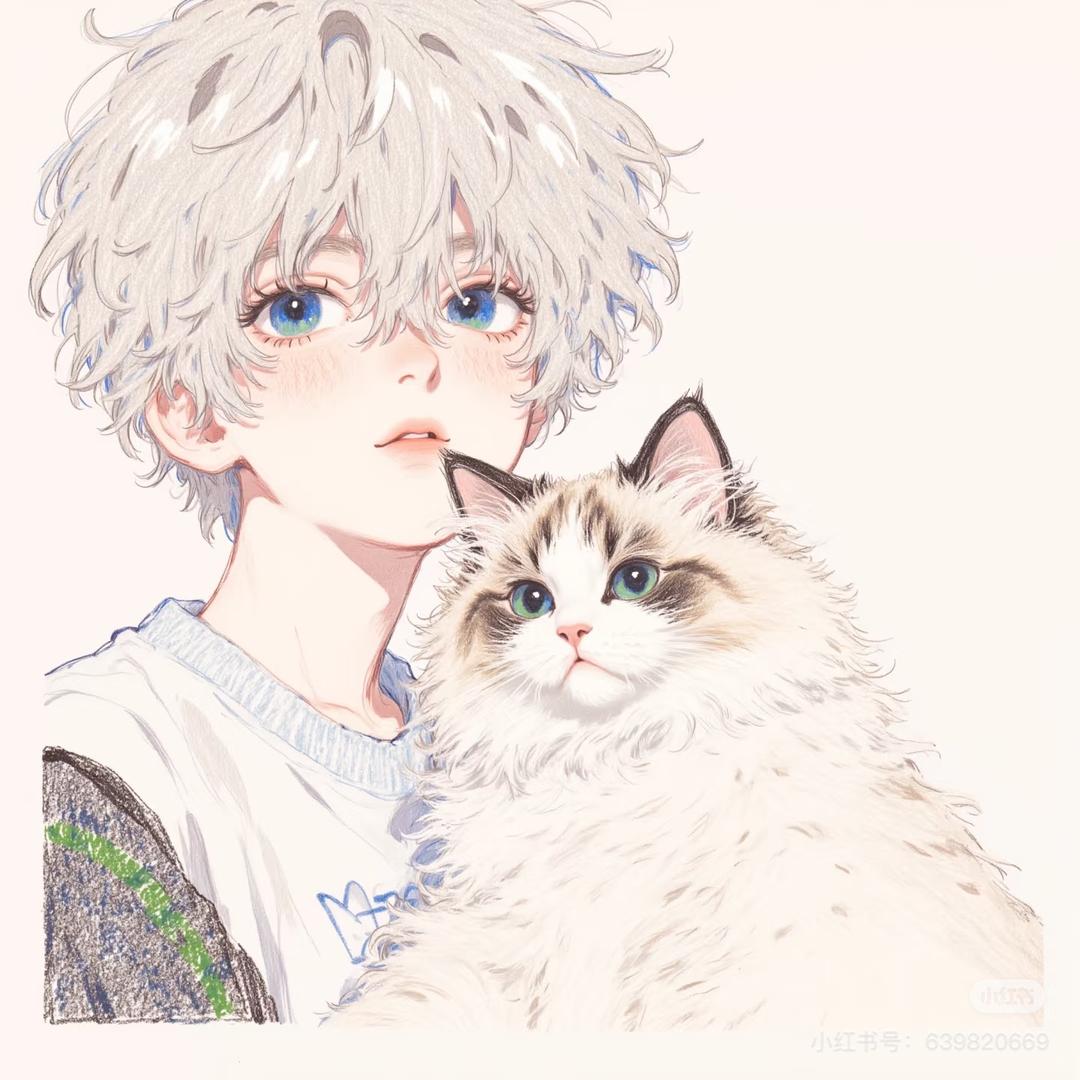 🌈布偶猫真好看