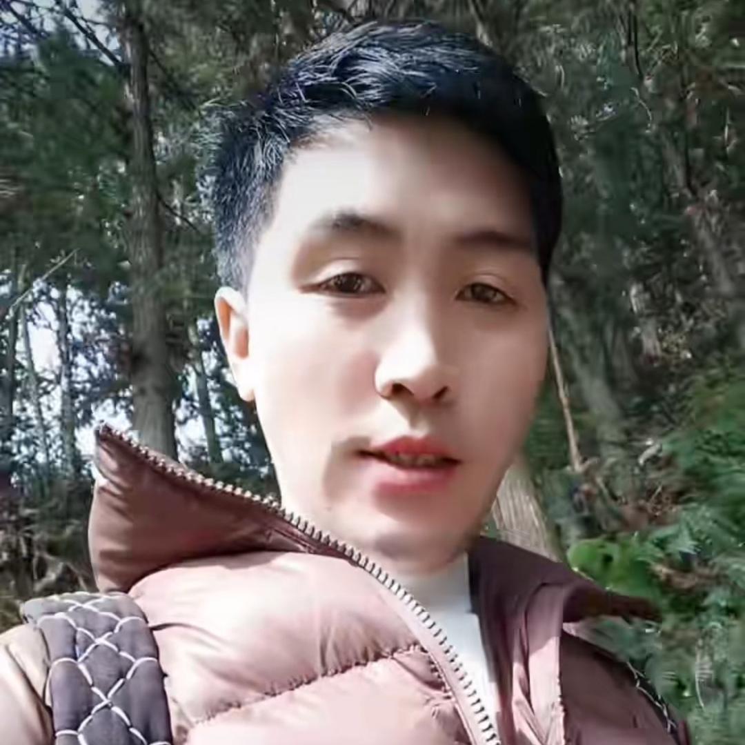 孤独的流星