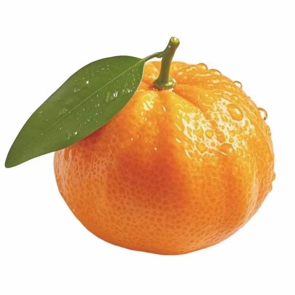 橙子萌