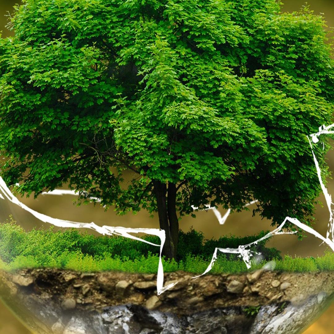 心中那自由的世界