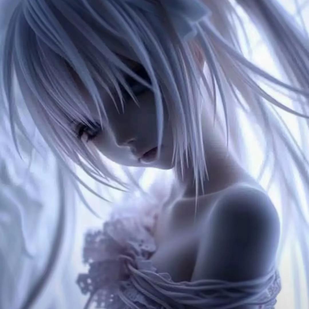白羊-