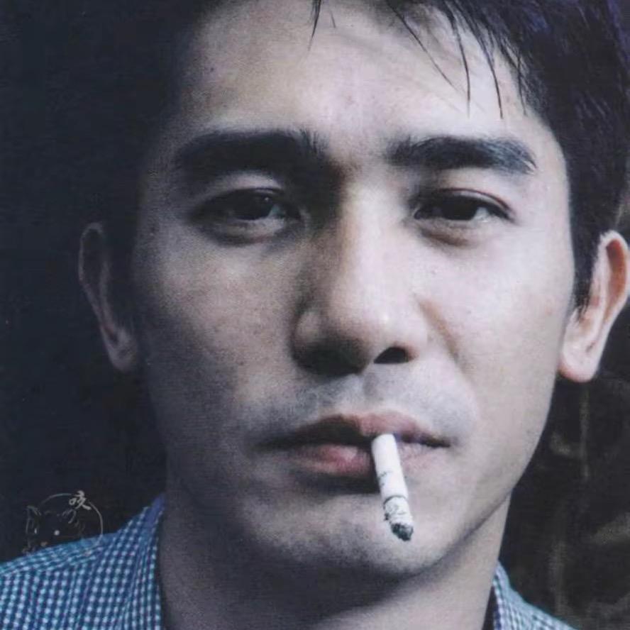 大壮z