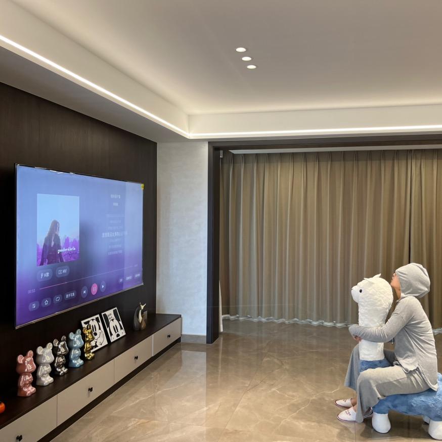 橡皮树的home