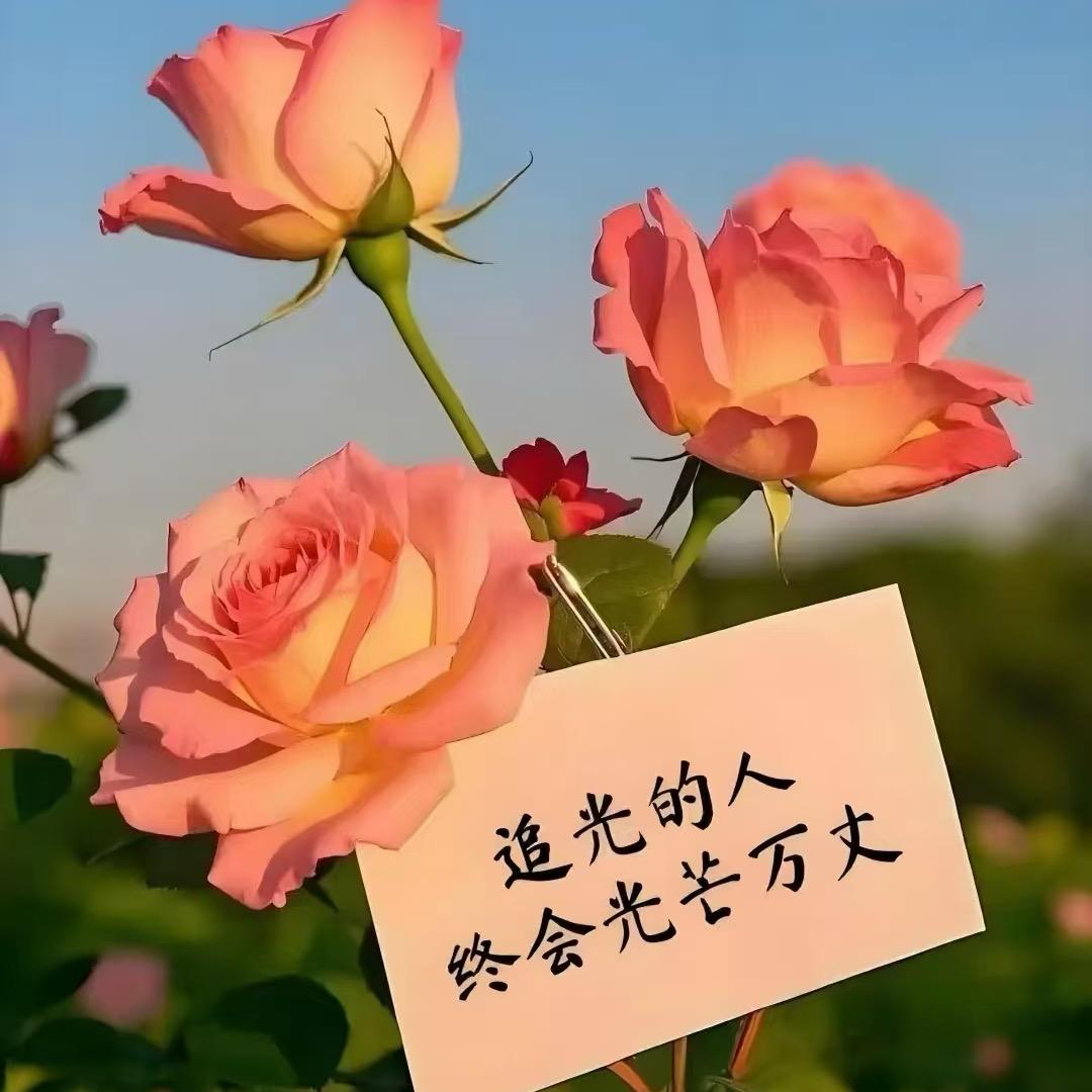 ღ᭄ꦿ࿐默然࿚້໌ᮨএ᭄
