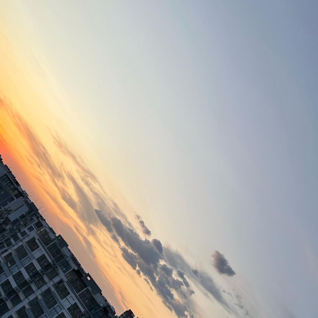 用护15896311