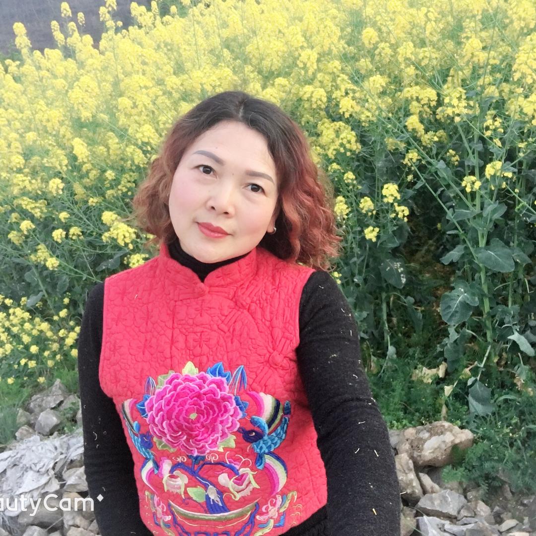 独傲雪莲