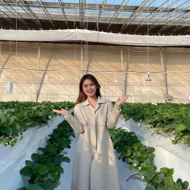 寿光蒲公英农业服务有限公司