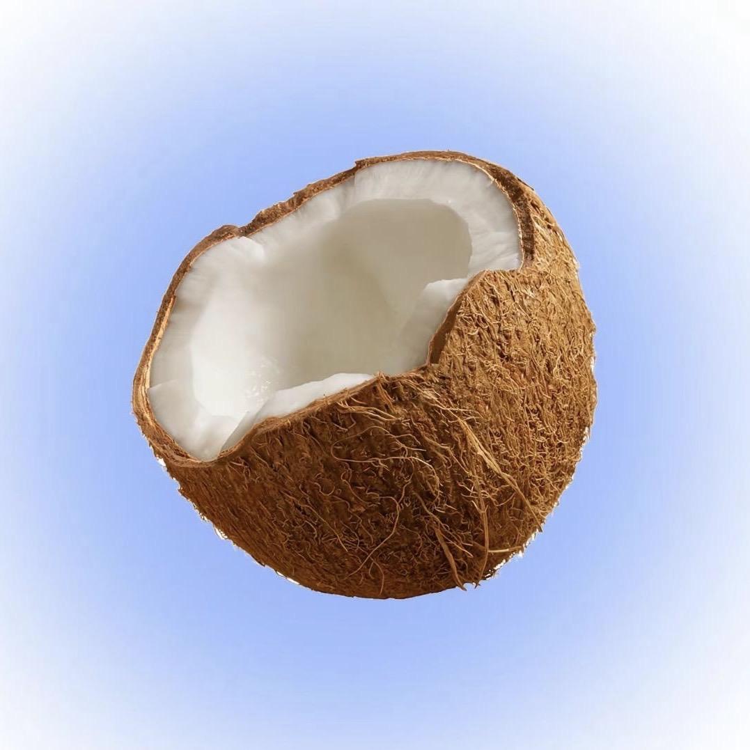 一椰🥥