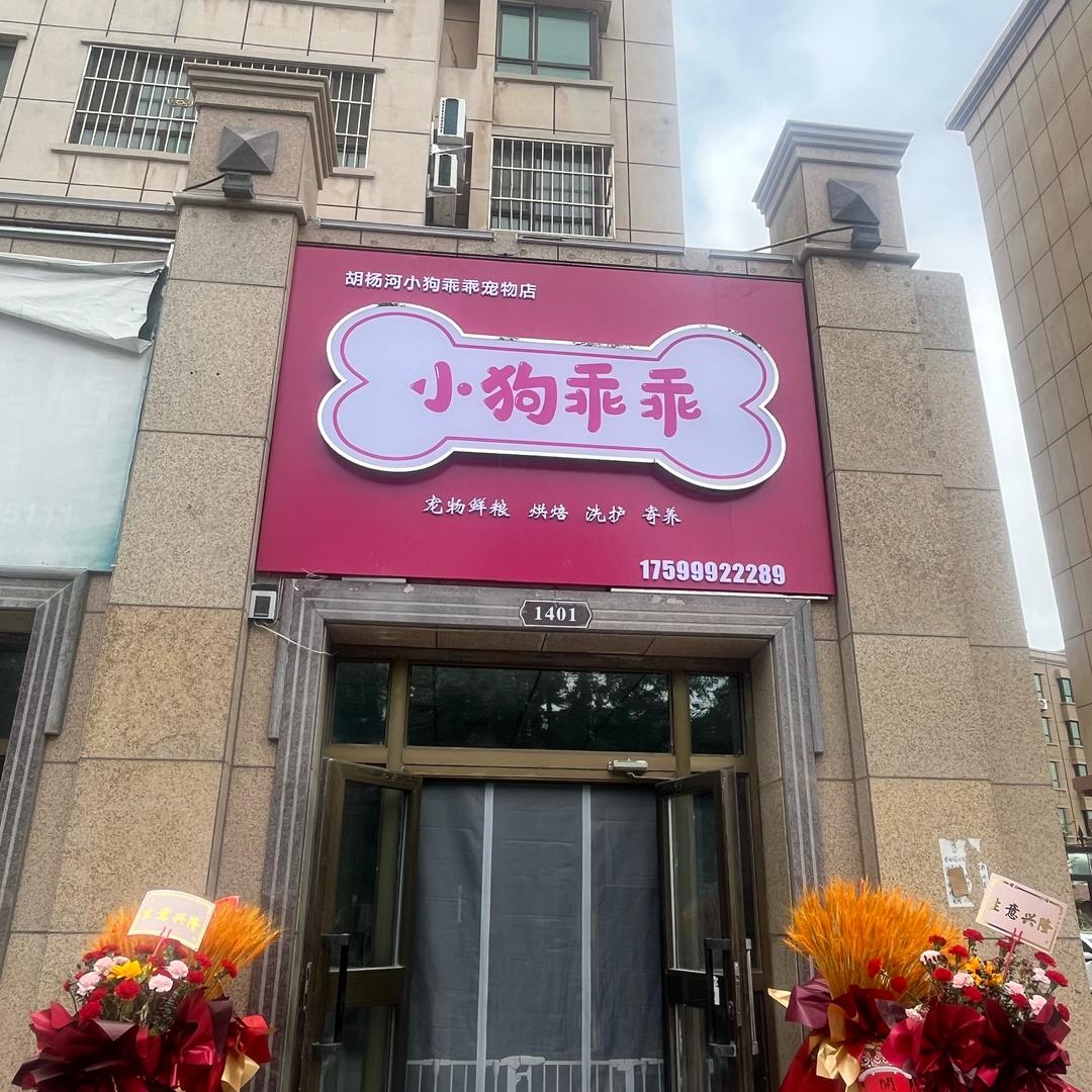 胡杨河小狗乖乖宠物店
