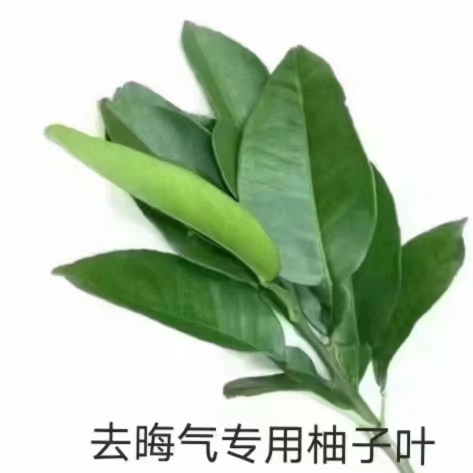 乐乐超棒
