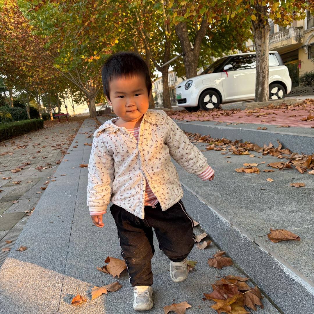 源源  🌸臻臻🌸