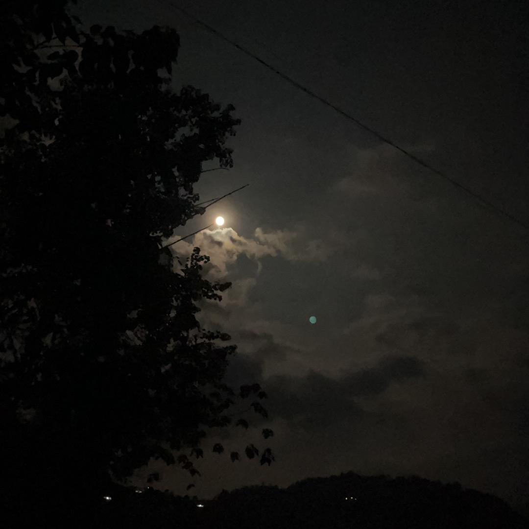 呢米可一