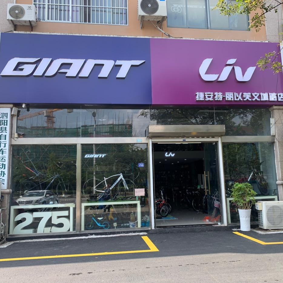 泗阳捷安特