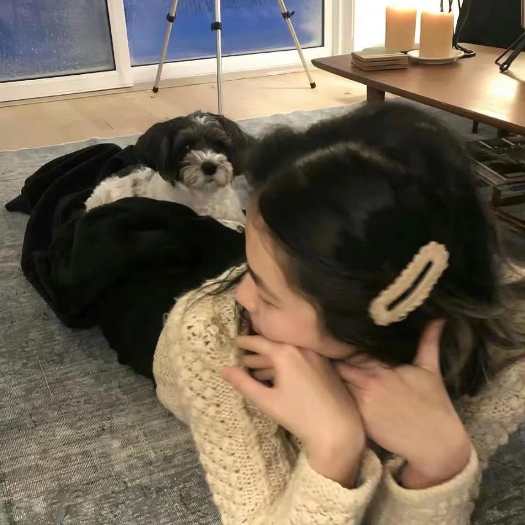 超级Q萌大犀牛
