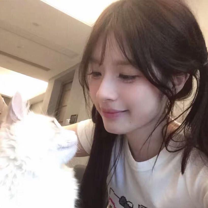 稀饭小猫