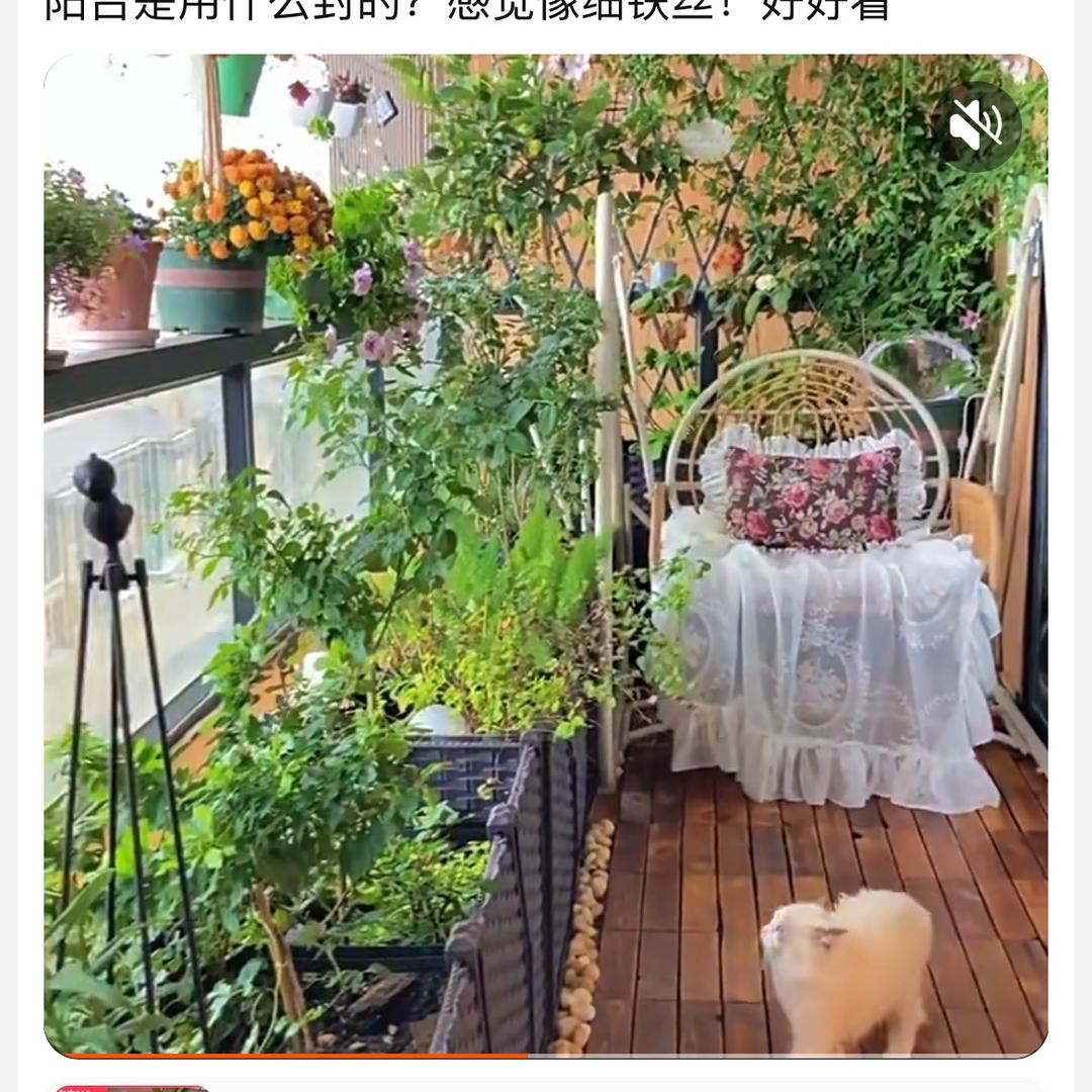徐家贝儿